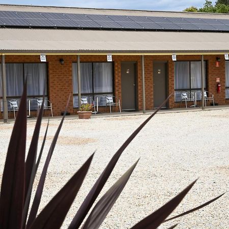 Holbrook Town Centre Motor Inn Eksteriør bilde